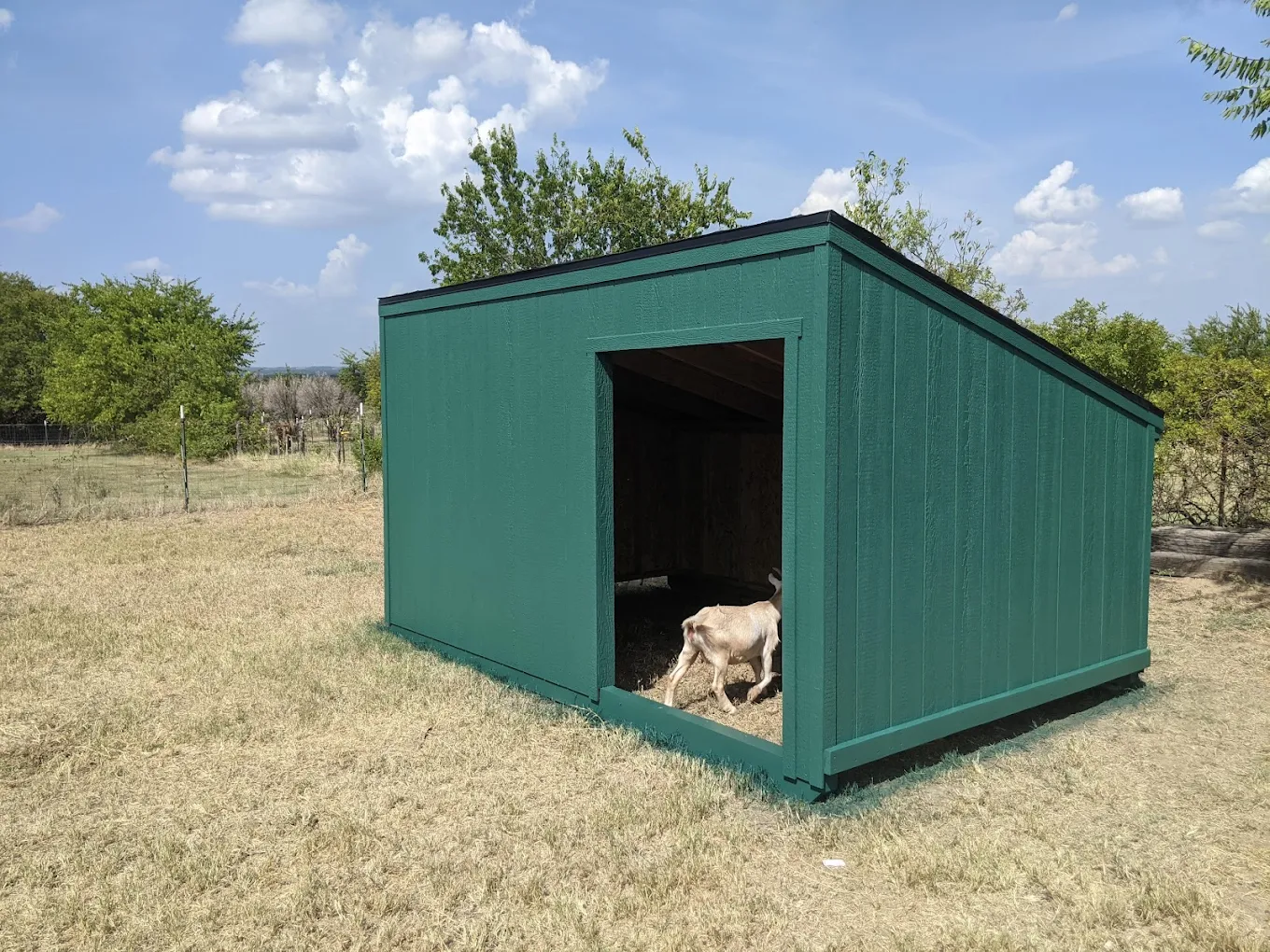 Custom shed built on-site in Decatur TX near Courthouse Square